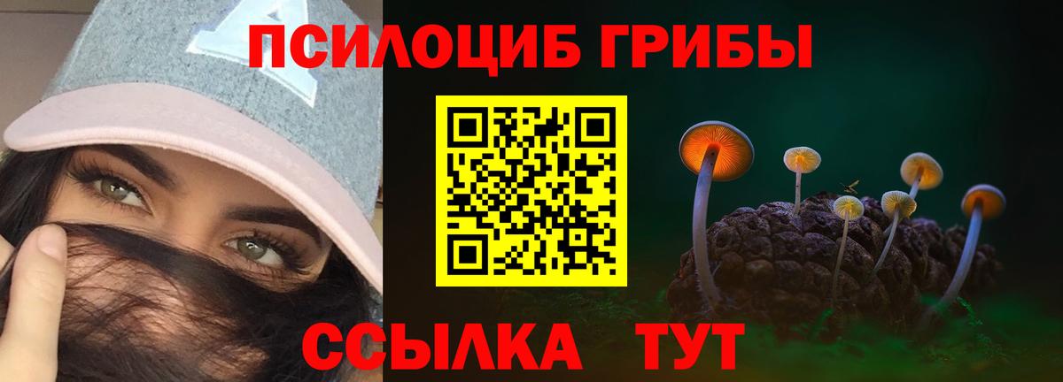 Галлюциногенные грибы мицелий Брянск