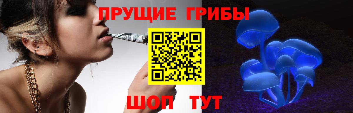 Брянск  Галлюциногенные грибы ЛСД  Галлюциногенные грибы ЛСД  Вход с VPN 