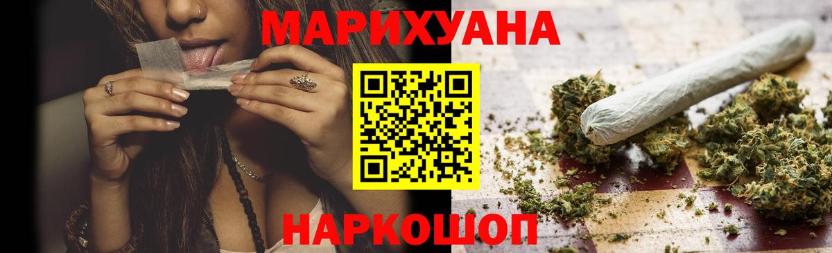 Каннабис сатива Брянск